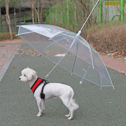 2-in-1 Puppy Raincoat with Leash – Keep Your Pup Dry, Comfy & Stylish!