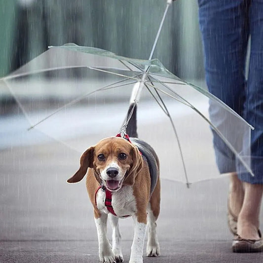 2-in-1 Puppy Raincoat with Leash – Keep Your Pup Dry, Comfy & Stylish!